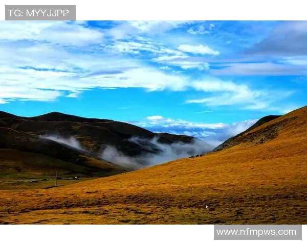 从绿茵场到平凡街头足球明星的真实生活与心灵旅程